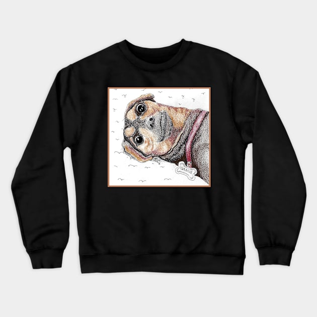 Gracie Crewneck Sweatshirt by Dr. Mary